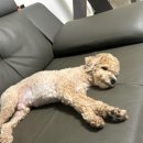 설맥 일산식사점 이미지