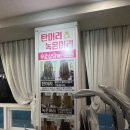 헤어뷰올라
