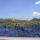 삼천리농장 이미지