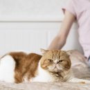 송도반려동물약국 이미지