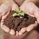 최정원치과의원 | 최정원치과 후기 ::과잉진료없는 치과추천