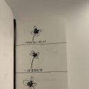 경상도과일야채