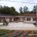 해당화피는아침 이미지