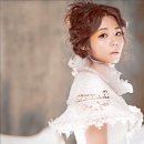 아이비다음커뮤니티