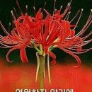 100세의료기 이미지