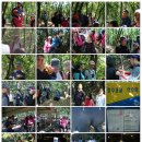 제4차 서울,경기,강원 성공주자 수리산산행!!!