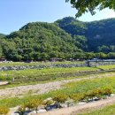 전주명품한우식당 이미지