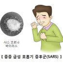 아니 난 중국 진짜 이해가 안가는게 이미지