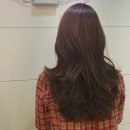 안헤어 네이버블로그