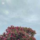 제10대 이사회 1차 워크샵-자연의 보물섬 2 이미지