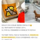 안산동물병원 이미지