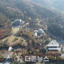 더존산림