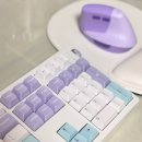 벚꽃 | 저소음 키보드 추천 | 앱코 A108K 벚꽃축 후기 - 책상꾸미기 &amp; 타건감 리뷰