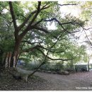 태평로55번길 이미지