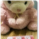 행복드림 국악 힐링 콘서트 | 2025-2026 이찬원콘서트 찬가 찬란한하루 대구 (1225/1227/1228) 후기 ੧ᐛ੭