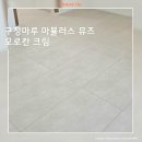 컨벤시아대로252번길 | 송도 더샵 퍼스트파크 29평 구정마루 마뷸러스 뮤즈 모로칸크림 마루시공후기