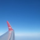 (주)엔젤렌터카 이미지