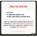 정품] 대원제약 쏘팔메토, 블랙마카 이미지