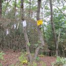 반천 경로당 이미지