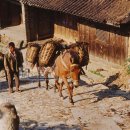 운남서로 이미지