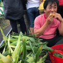 용흥농장 네이버블로그