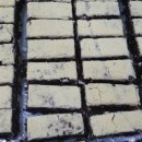 설기조아 이미지