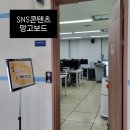 망고디자인 | 🌟“망고보드로 배우는 공무원 홍보 디자인! 실무 역량 강화 교육 후기”