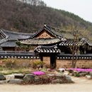 신촌온천 이미지