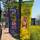 인제군농특산물전시판매장 주차장 | ‘2026년 삼척맹방유채꽃축제’ 지금 무조건 가세요! 삼척 가볼만한곳 여행 코스 추천 🌼💛