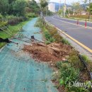 진해구 ⓒ-40 이미지