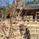 백운동 정원 | 강진여행 가볼만한곳 백운동 별서정원 백운동 원림