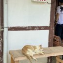 시골 백반 이미지