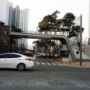 첫마을7단지702동앞 이미지