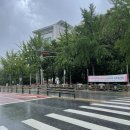 세븐일레븐도봉플러스 | [6월 5째주] 주간일기