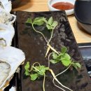 뜰안애 | 밥집) 진주 금산 ‘뜰안애’