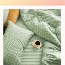 그린특수세탁 이미지