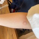 유수암쉘2동202호 | 제주 여행 중 합격한 임기제공무원 (feat. 공무원신체채용검사, 주민센터 프린트 꿀팁)