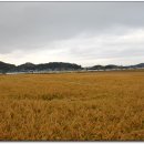 누룽지농장 이미지