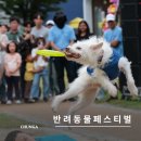 춘천애니메이션박물관 뒷편 자전거쉼터 | 2025 춘천 반려동물 페스티벌 정보&amp;일정, 방문 후기!