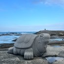 9길17 | [내돈내산] 강원도 속초 애견동반 1박2일 여행 1일차 코스 정리ෆ (아마이홍게·소품샵·패들...