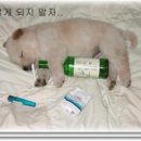복 - 서구 대영로 37 | 복