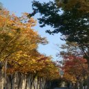 행복한부동산경영