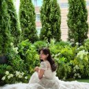 마이 단독 | 비마이스튜디오 신부 단독 사진 후기