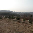 세븐일레븐 화성팔탄덕천점 | 오두(조두)지맥(1구간) : 태행산-조두산 구간