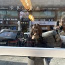 조방돼지국밥 - 울주군 | 범일동 조방 신상 국밥집 : 한약방 돼지국밥 내돈내산 후기