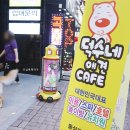 대백애견 이미지