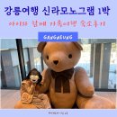 강릉어린이수영교실 | 강릉여행 호캉스 신라모노그램 강릉 1박 후기 추천