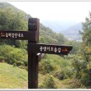 충주호 종댕이 티스토리