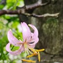 지광기업 이미지