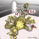 봉황그린 이미지